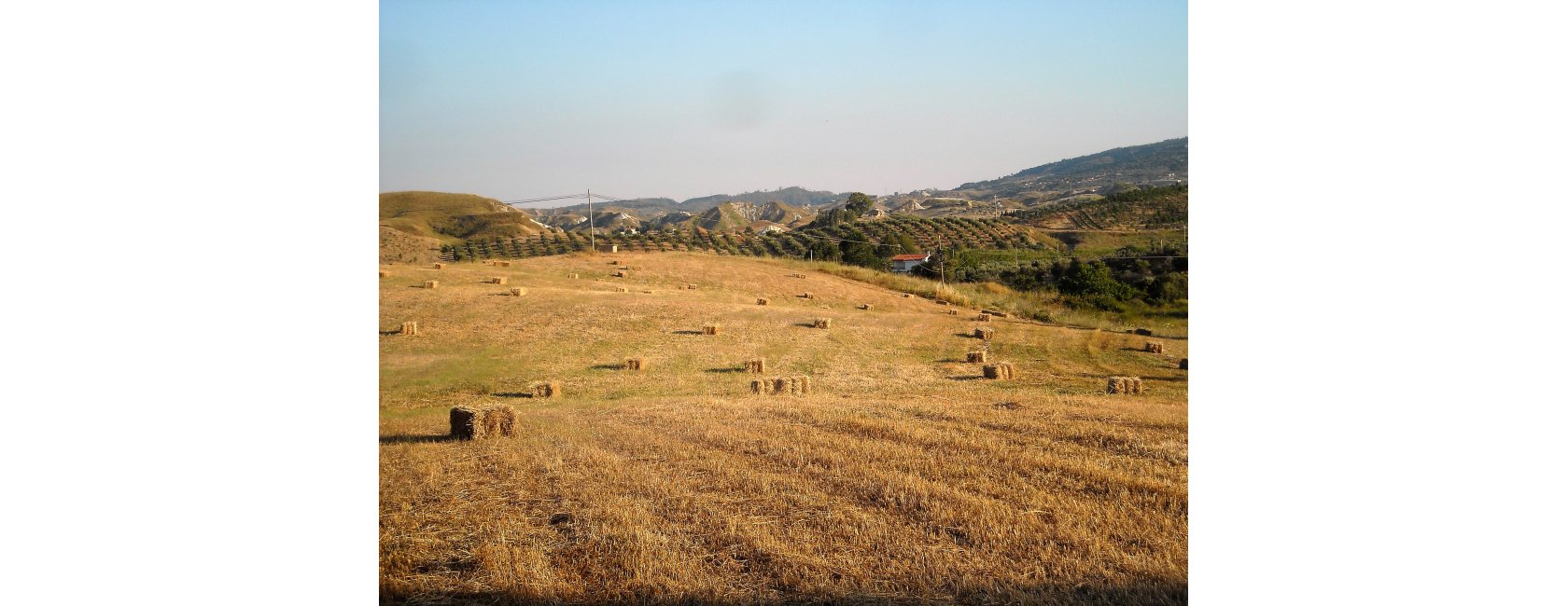 Agraria Gallelli